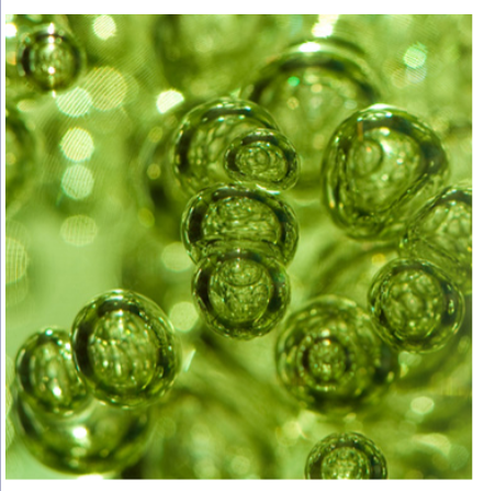 Natural Gas